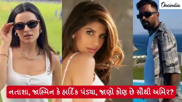 Jasmin and Hardik Net worth