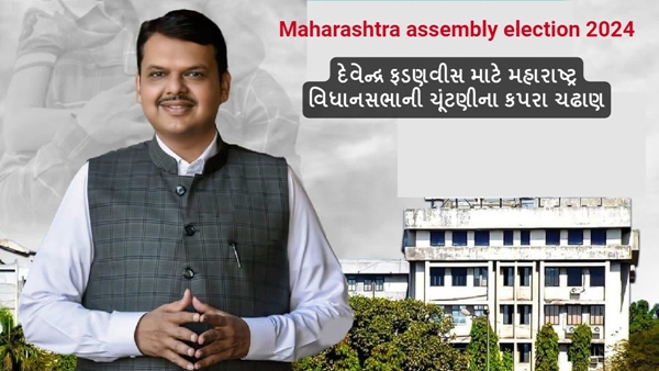 Maharashtra assembly election 2024