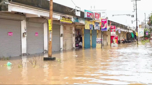 Vishwamitri water level receding