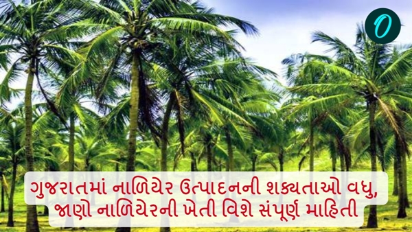 coconut cultivation