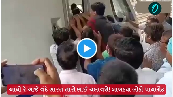 loko pilot Fight video viral