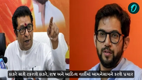 Maharashtra assembly election 2024