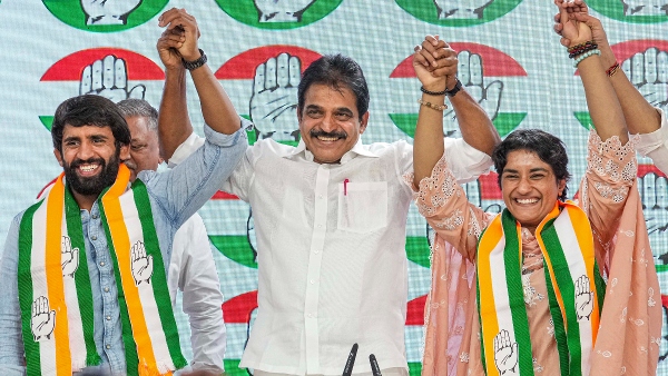 Vinesh Phogat Net Worth