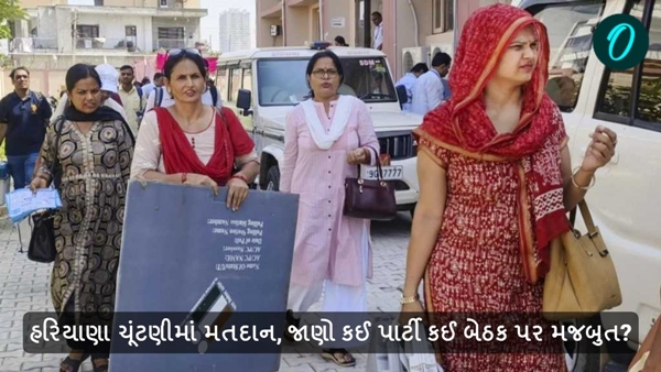 Haryana Assembly Election 2024 Voting