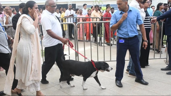 Ratan Tata Dog Video