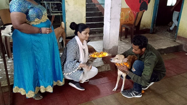 Kukur Tihar Festival