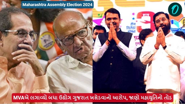 Maharashtra Assembly Elections 2024
