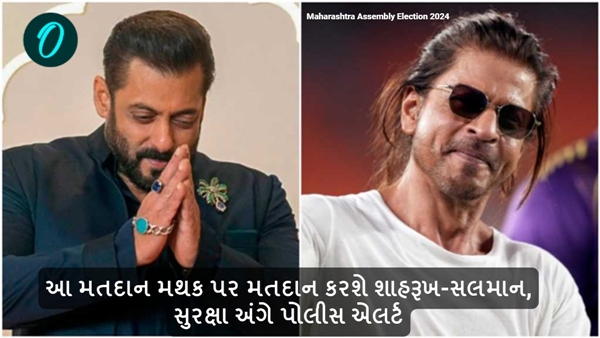 Shahrukh khan and Salman Khan Maharashtra Assembly Election 2024