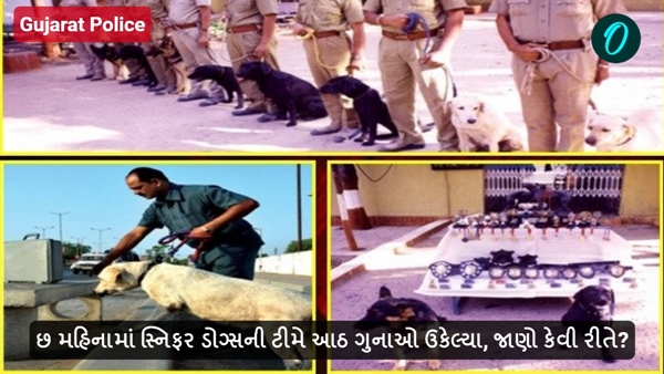 Gujarat Police Gujarat Police