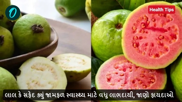 Health Tips Health Tips