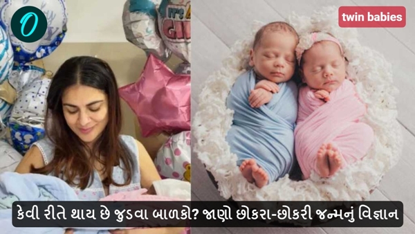 How are twin babies born