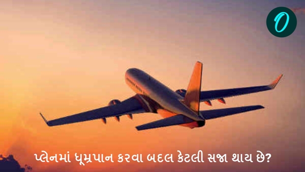 how much punishment for smoking in plane in Gujarati