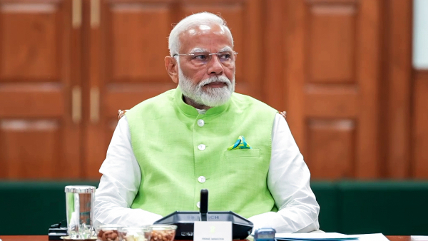 Election Year Ender 2024