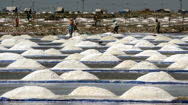 Highest salt producing country