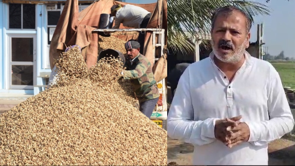 Agriculture News Agriculture News