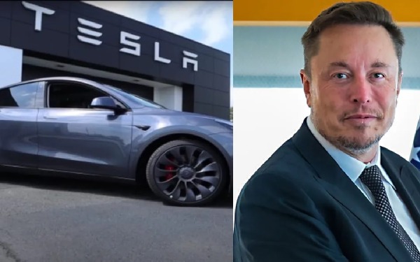 elonmuskcompanyinindia elonmuskcompanyinindia