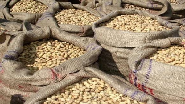 groundnuts groundnuts