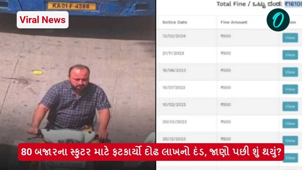 Viral News Viral News