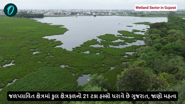 Wetland Sector in Gujarat Wetland Sector in Gujarat