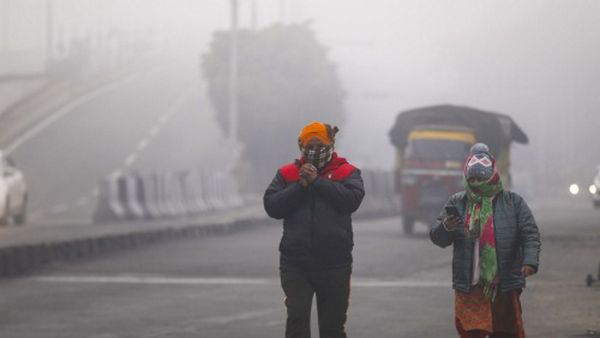Gujarat Winter