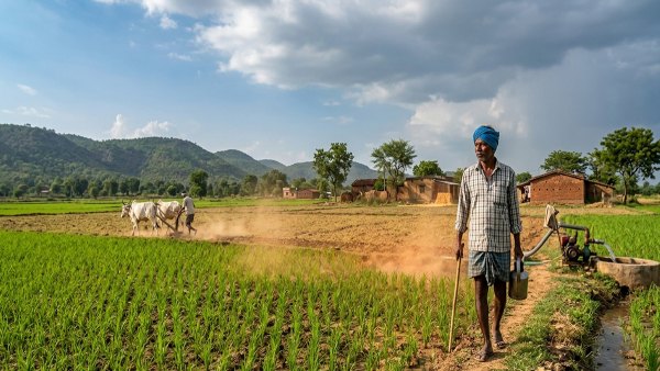 el nino impact el nino impact