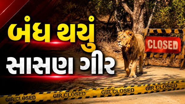 sasan gir