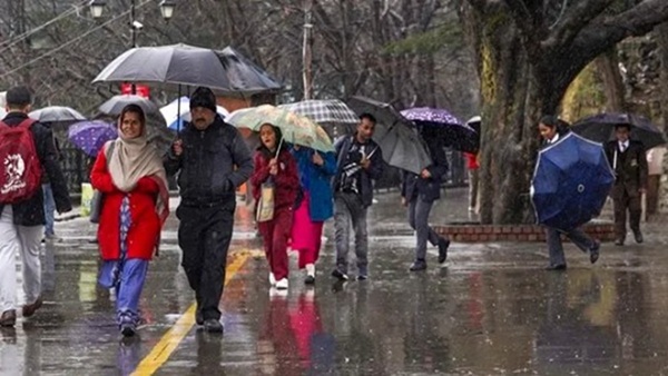Rain