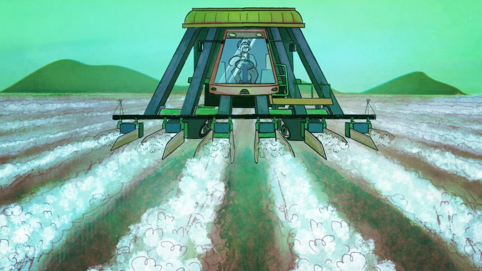 કૃષિક્ષેત્રની તસવીર કૃષિક્ષેત્રની તસવીર