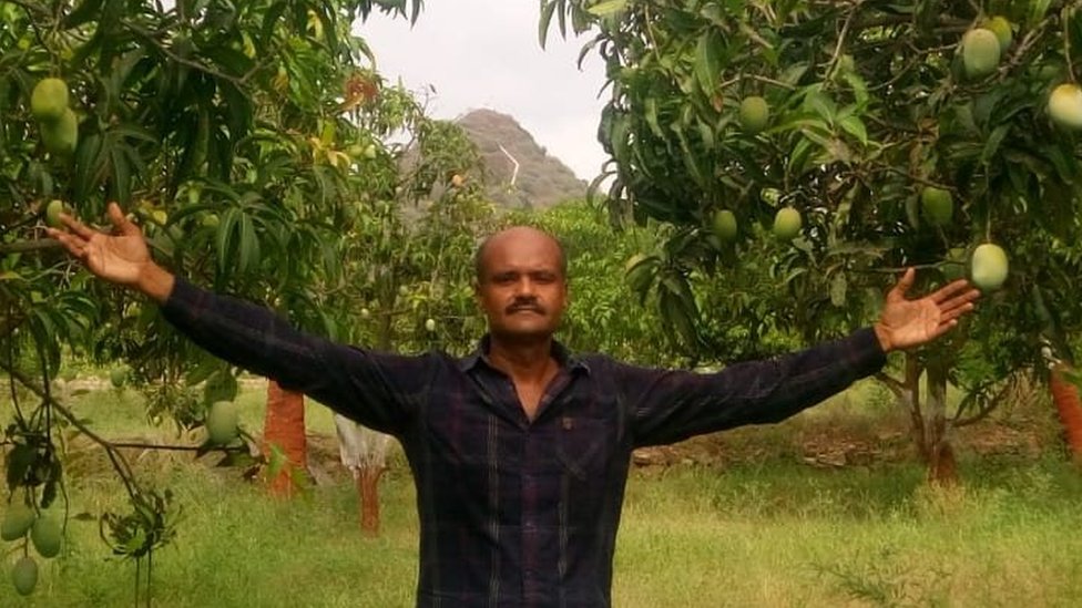 કચ્છમાં ખેતી