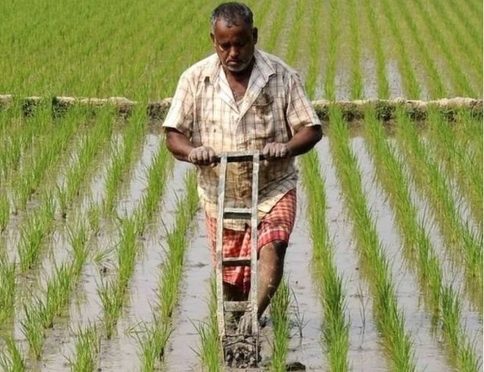 ખેડૂત