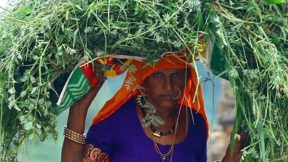 પ્રતીકાત્મક તસવીર