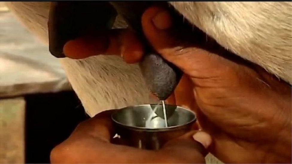 ગધેડીનું દૂધ પીવાથી જાતીયક્ષમતા વધતી હોવાના કોઈ વૈજ્ઞાનિક પુરાવા નથી મળ્યા ગધેડીનું દૂધ પીવાથી જાતીયક્ષમતા વધતી હોવાના કોઈ વૈજ્ઞાનિક પુરાવા નથી મળ્યા