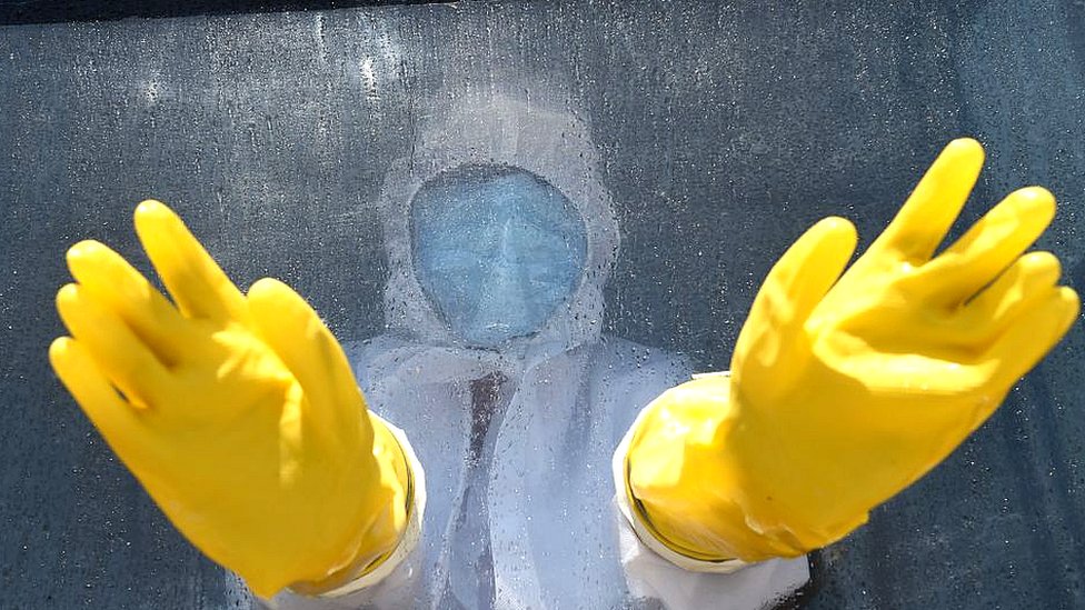 કોરોના સંક્રમણ જેવાં જ લક્ષણો ધરાવતા રોગના કેસ ગુજરાત-મહારાષ્ટ્ર સરહદનાં ગામોમાં આવી રહ્યાં છે?