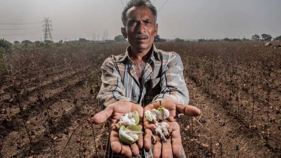 મોરબી તાલુકાના ખેડૂતોએ પાણીની માગણીને લઈને સરકાર સામે મેદાને પડ્યા છે મોરબી તાલુકાના ખેડૂતોએ પાણીની માગણીને લઈને સરકાર સામે મેદાને પડ્યા છે