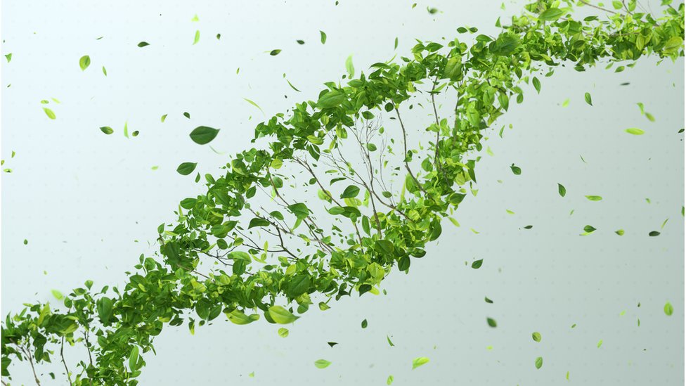 પોલીસ તપાસ માટે તમામ વિકલ્પો અનુસરશે તેવો દાવો કરાયો છે