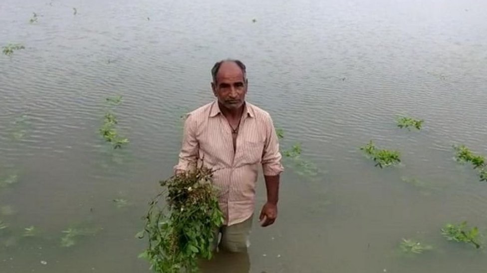 ખેડૂતોને અતિવૃષ્ટિ ભારે પડી?