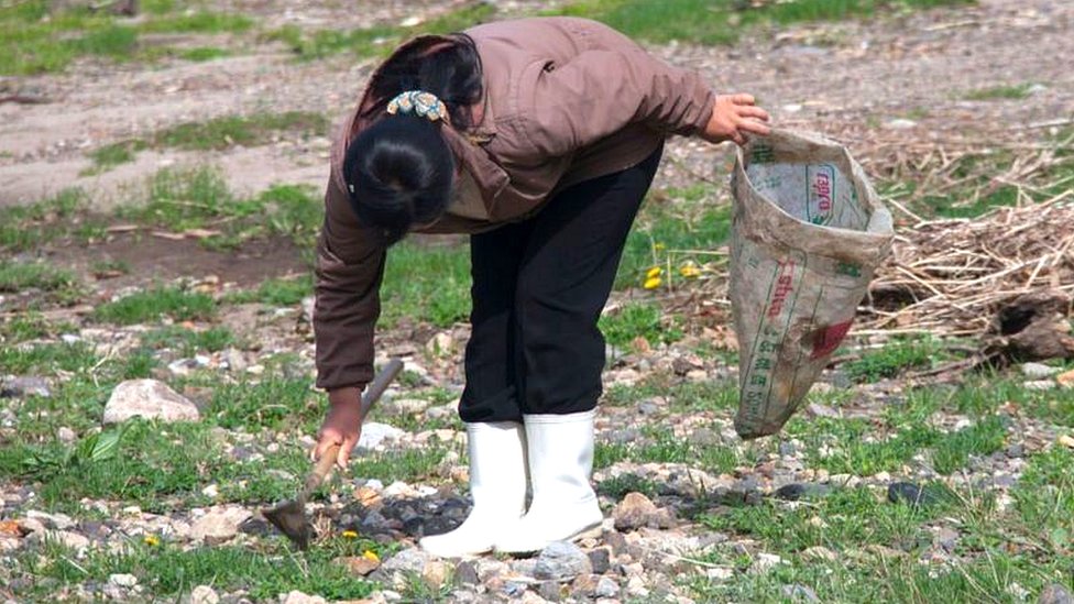 ઉત્તર કોરિયાની યુવતી ઉત્તર કોરિયાની યુવતી