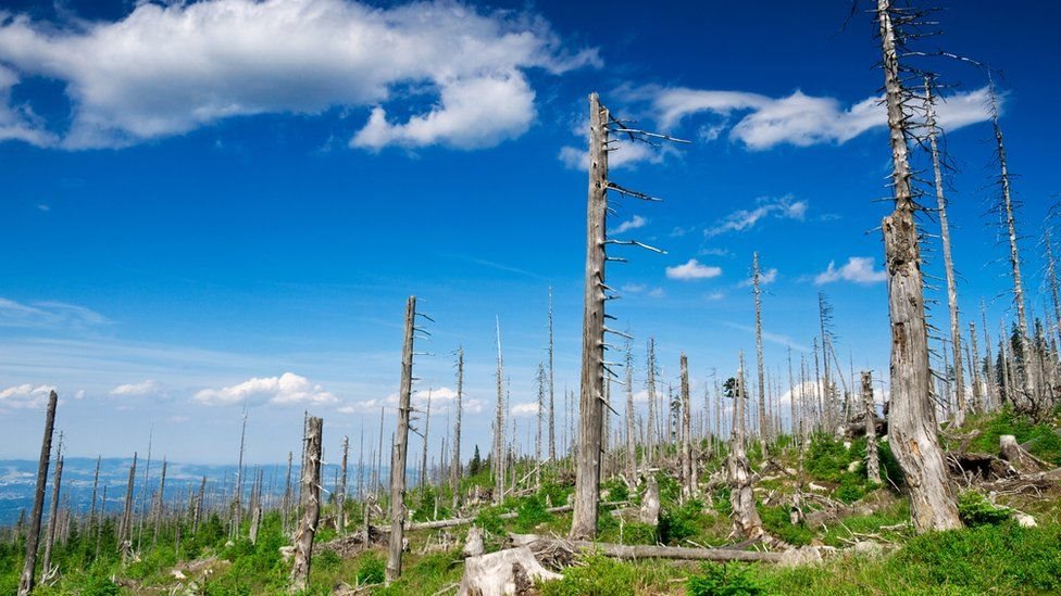 પ્રતીકાત્મક તસવીર