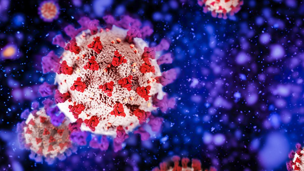 કોરોના વાઇરસ