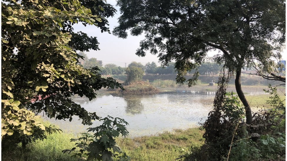 મંદિર પાસેનું તળાવઃ એવી માન્યતા છે કે આમાં સ્નાન કરવાથી ચર્મરોગ મટી જાય છે