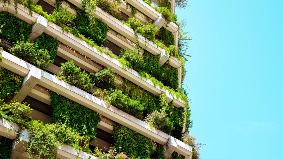 પ્રતીકાત્મક તસવીર