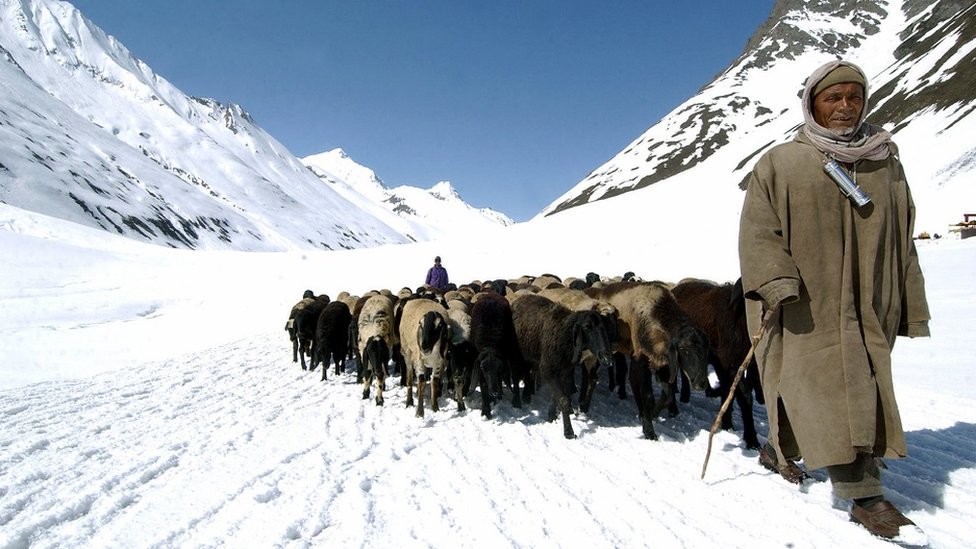 કાશ્મીર કાશ્મીર