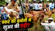 Bakra Qurbani Row: UP से बंगाल-महाराष्ट्र तक, बकरे पर घमासान! कुर्बानी का सही नियम क्या? कहां कटेगा-कहां बैन?