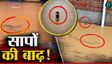 बाढ़ के साथ बहकर आए कई कोबरा और रेटस्नेक, शी जिनपिंग परेशान