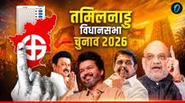 Phalodi Satta Bazar Tamil Nadu: DMK या NDA? फलोदी सट्टा बाजार ने खोले संकेत, तमिलनाडु में किसकी बन रही सरकार