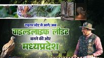 टाइगर स्टेट से आगे की कहानी: मध्य प्रदेश के जंगलों में छिपी है वन्यजीव संरक्षण की एक बड़ी क्रांति