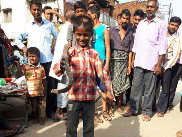 PICs: जहरीले सांप पकड़ना है इस बनारस के बच्चे का खेल!