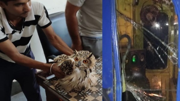 उल्लू से ट्रेन से टकराकर फोड़ दिया शीशा, RPF ने उल्लू को लिया कब्जे में, देखें VIDEO