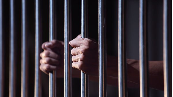 शिकारी ने भालुओं को मारने के बाद उनके गुप्तांग भी खा लिए, 6 साल की तलाश के बाद गिरफ्तार