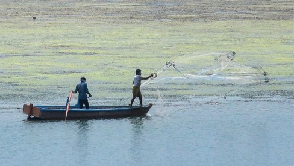 गुजरात तट पर पाकिस्तान की कायराना हरकत, भारतीय मछुआरों पर बसराईं गोलियां, 1 की मौत